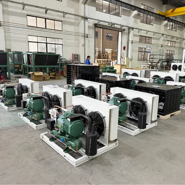 Condensing Unit, 220V - view 2
