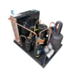 Condensing Unit, 220V, R404a