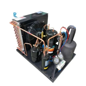 Condensing Unit, 220V, R404a, RUIXUE