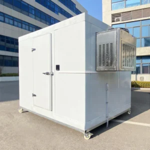 Condensing Unit, 2HP, 3HP, Inverter, Monoblock