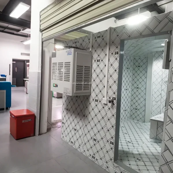 Condensing Unit, 2HP, 3HP, Inverter, Monoblock - view 6
