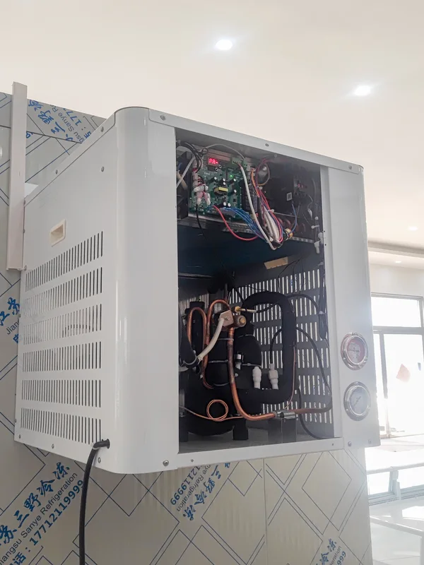Condensing Unit, Monoblock, Wall, 110V/60Hz, 220V/50Hz - view 6