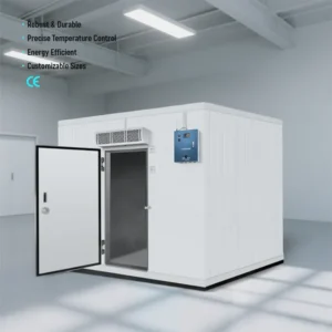 Container Freezer, Solar, 110 V, R404