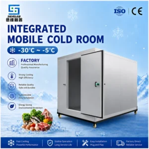 Dev Cold Roomwalk-in Freezer, 110V ~ 480V
