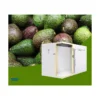 Doluyo Supermarket Freezer, 7.09, R404A