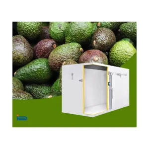 Doluyo Supermarket Freezer, 7.09, R404A