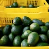 Doluyo Supermarket Freezer, 7.09, R404A - view 3