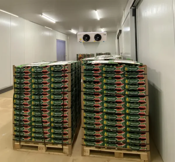 Doluyo Supermarket Freezer, 7.09, R404A - view 4