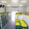 Doluyo Supermarket Freezer, 7.09, R404A - view 5