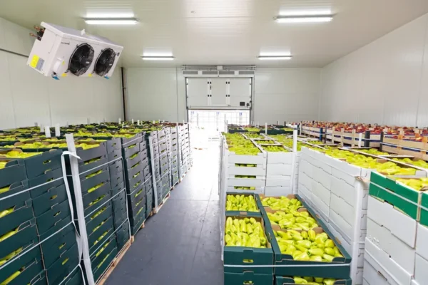 Doluyo Supermarket Freezer, 7.09, R404A - view 5