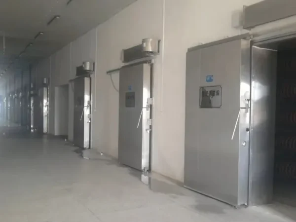 Door for Walk-in Freezer, PVC, AC 220V~240V, 1 W - view 5