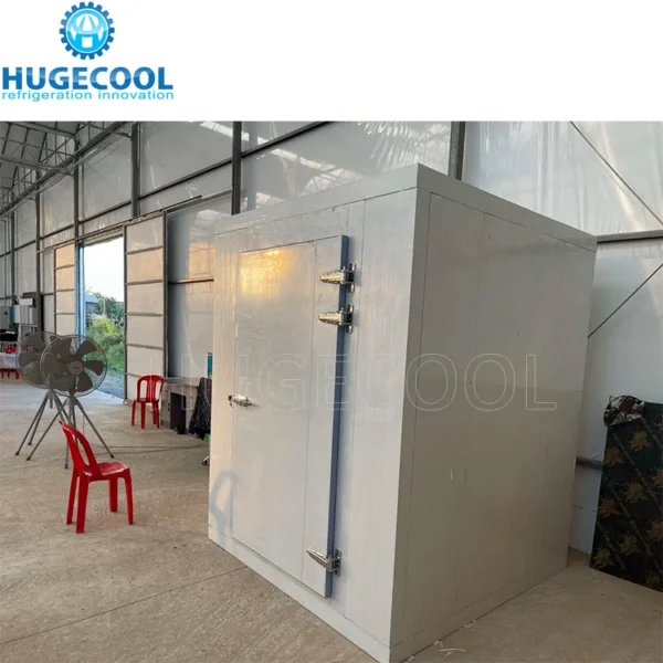 Door for Walkin Cooler, AC 220V~240V, Color Steel - view 2