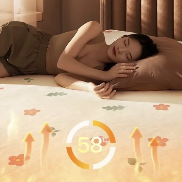 Double Control Electric Blanket, 220V - view 6