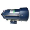 Ecotec Atex Motor, 110V, 220V, 380V - view 2