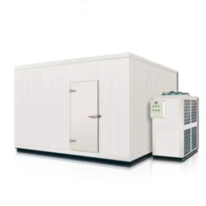 Efficiency Commercial Refrigeration Cooler, PLC, 220-240V