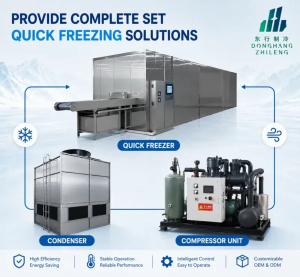 Efficiency Iqf Tunnel Freezer, 220 V, R-717 - view 3