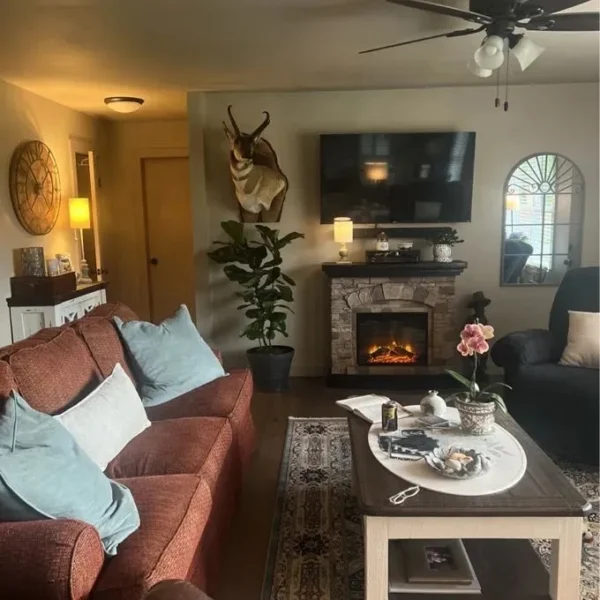 Electric Fireplace, 1500W, MGO - view 5