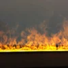 Electric Fireplace, 3D, Electric Fireplaces - view 4