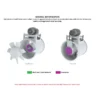 Electric Frproof Ventilator, Axial, Stainless, Steel - view 5