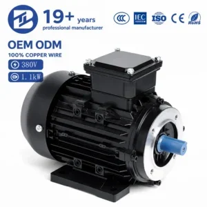 Electric Induction Motor, BIOTE, 380V, 1.1KW, 1.5KW