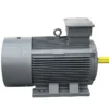 Electric Motor, 100%, Copper, IEC, 110kw