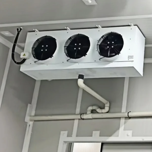 Electric Motor, 380 V - view 5