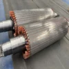 Electric Motor, Explosion-Proof, Asynchronous Motor - view 5