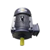 Electric Motor, YE3, 3000rpm, IEC