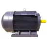 Electric Motor, YE3, 3000rpm, IEC - view 2