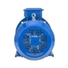 Electric Motor, YE3, 3000rpm, IEC - view 5