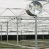 Electric Roof Axial Fan, Stainless, Steel, 500mm, 250W - view 2