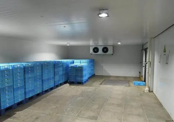 Emerson Compressor, > 1000W, R-410A - view 5
