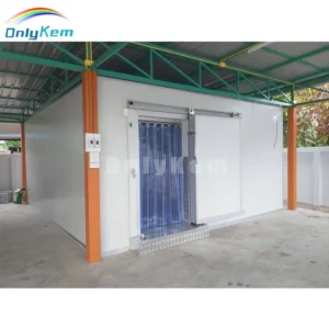 Equipment for Fish Chiller, 220v, Depend