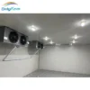 Equipment for Fish Chiller, 220v, Depend - view 3
