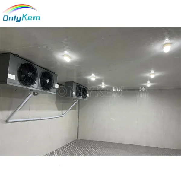 Equipment for Fish Chiller, 220v, Depend - view 3