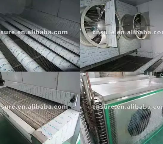 Equipment Quick Tunnel Freezer, IQF, 380v - view 3