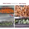 Equipment Quick Tunnel Freezer, IQF, 380v - view 5