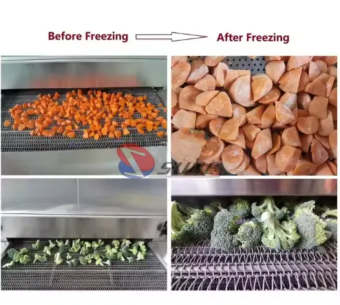 Equipment Quick Tunnel Freezer, IQF, 380v - view 5