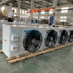 Evaporative Air Cooler, Ceiling, 220