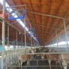 Exaustor Industrial Fan, 1380, 380 V, Electric - view 2