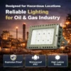 Explosion Proof Fans, 240W, LED, IP67, ATEX - view 5
