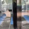 video-thumb-0
