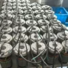 External Rotor Motor, 50W, 1400Rpm - view 2