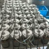 External Rotor Motor, 50W, 1400Rpm - view 3