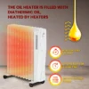 Extralink Oil Heater, 2500W, FINS, NY-25W1, 1000 - view 4