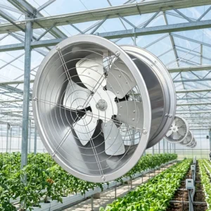 Farm Air Circulation Fan, 800mm, 380V