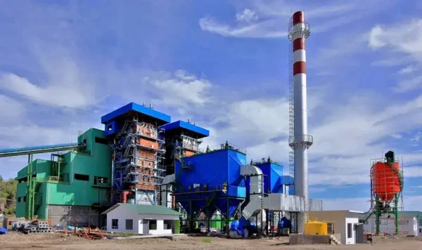 Fired High Pressure Boiler, Natural Circulation, 1 Year - view 4