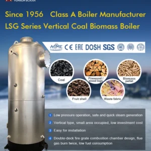 Fired Steam Boiler, 200kg/hr, 300kg/hr
