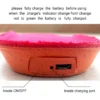 Foot Hand Warmers, heated shoes insoles, JS-006O-4 - view 6