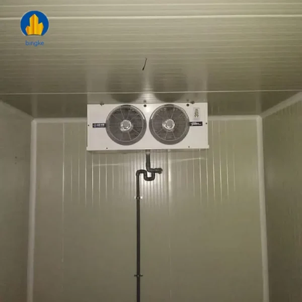 Freezer - view 2